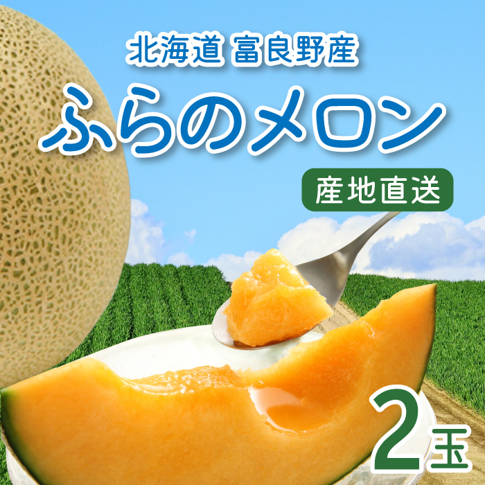 【期間限定】北海道産 ふらのメロン 2玉　