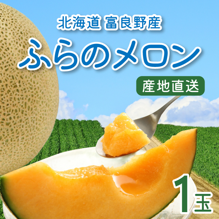 【期間限定】北海道産 ふらのメロン 1玉　