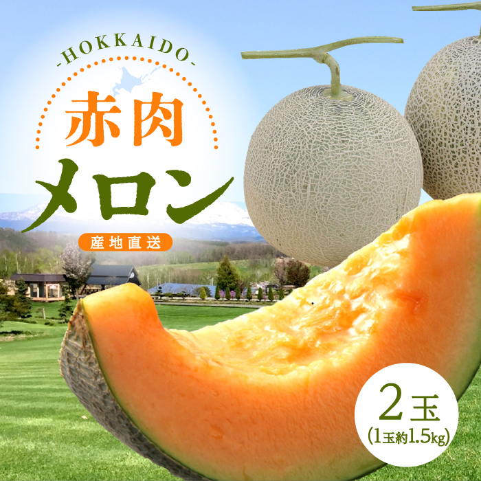 【期間限定】北海道赤肉メロン2玉